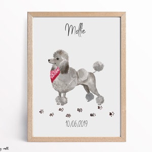 Poodle Personalised Print, Dog Wall Art, Dog Lover Gifts, Home Prints, Custom Wall Decor, Grey And White Poodles image 1