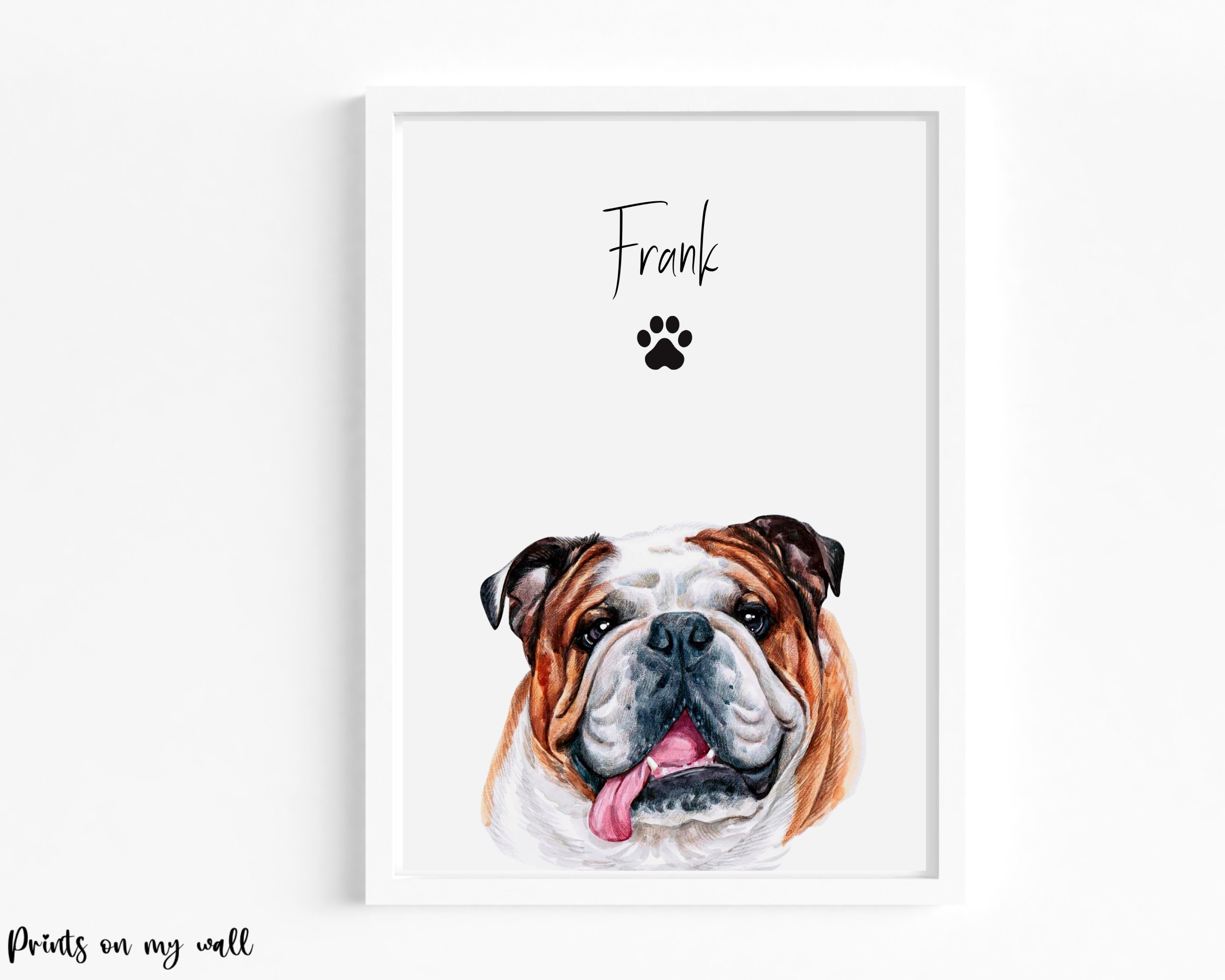 Lá Breithe Shona Bulldog Puppy