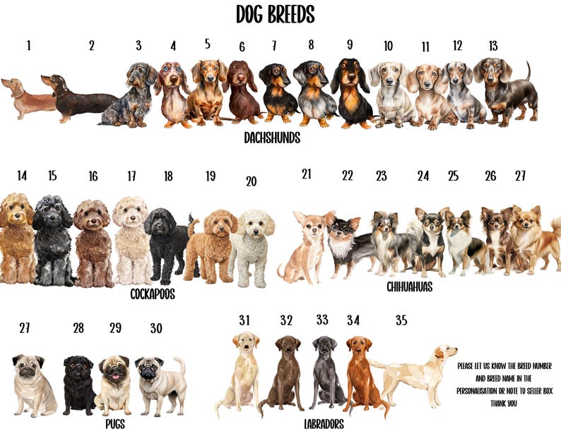 Cockapoo Reference Chart Cockapoo I Woof You Card, Cute Dog Valentines Card - Etsy UK
