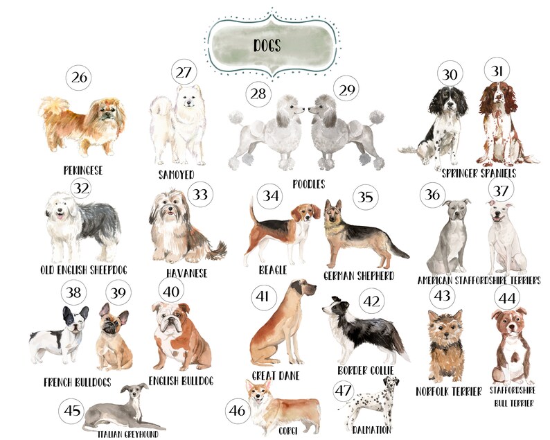 Personalised Dog Print,Various Dog Breeds, Home Is Wherever Your Dog Is, Home Prints, Wall Art, Dog Lover Gifts image 3