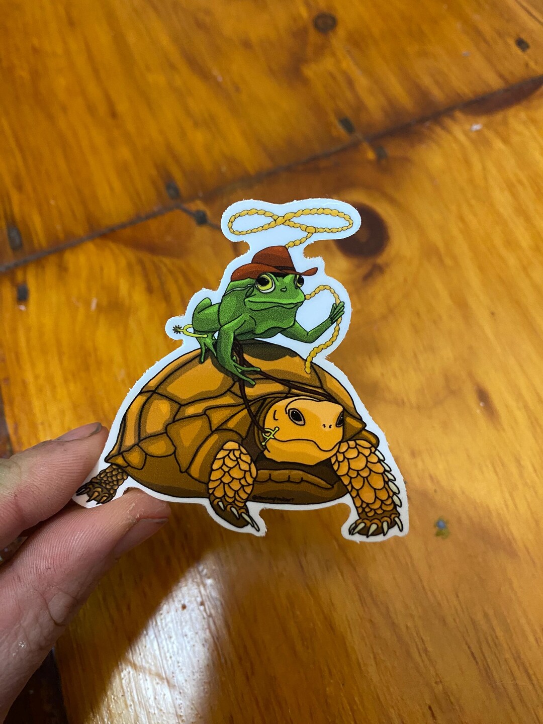 Rodeo Frog Sticker- Cowboy Frog, Western Frog, Frog Riding a Turtle - Etsy
