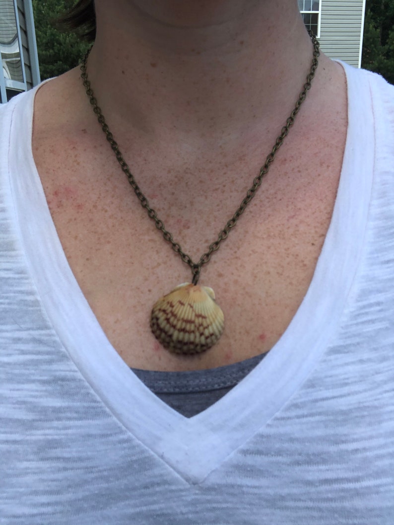 Assorted genuine shell necklace on antique bronze chain