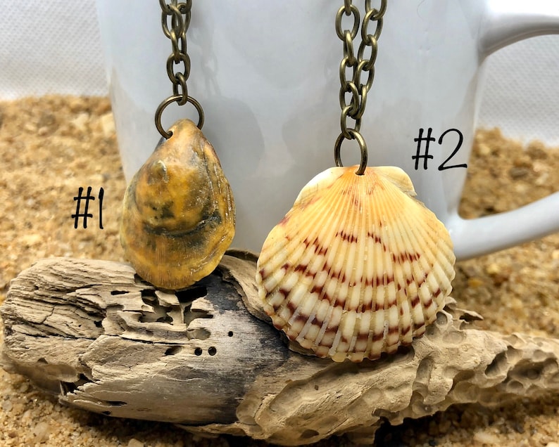 Assorted genuine shell necklace on antique bronze chain