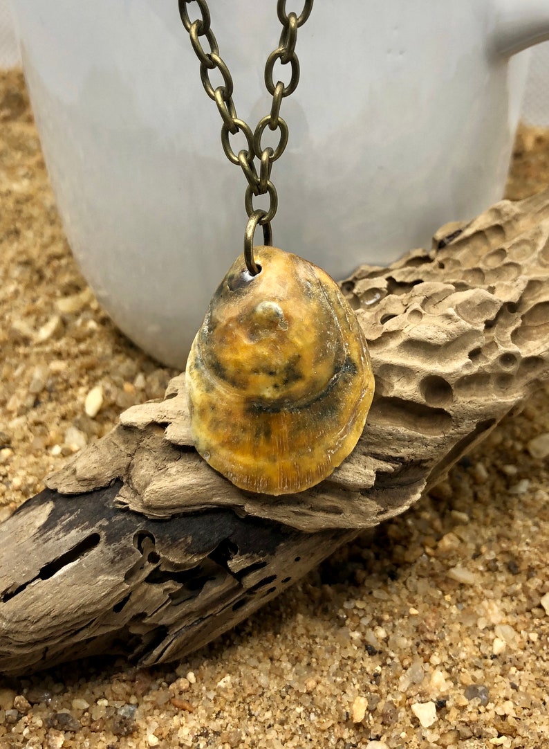 Assorted genuine shell necklace on antique bronze chain