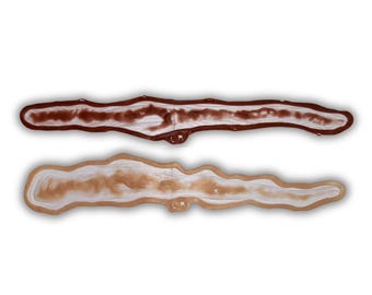 Keloid scar set, silicone prosthetic for film, TV, cosplay, LARP, Halloween, special effects makeup. Latex-free.
