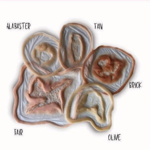 K&ouml;nnte beinhalten: Sechs Silikon-Hautfarbt&ouml;ne mit den Bezeichnungen Alabaster, Tan, Brick, Fair, Olive und ein sechster Farbton ohne Bezeichnung.