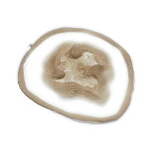 May include: A prosthetic wound with a light brown, textured appearance. The center of the wound is a lighter color, and the edges are slightly raised. The overall shape is oval, with a white background.