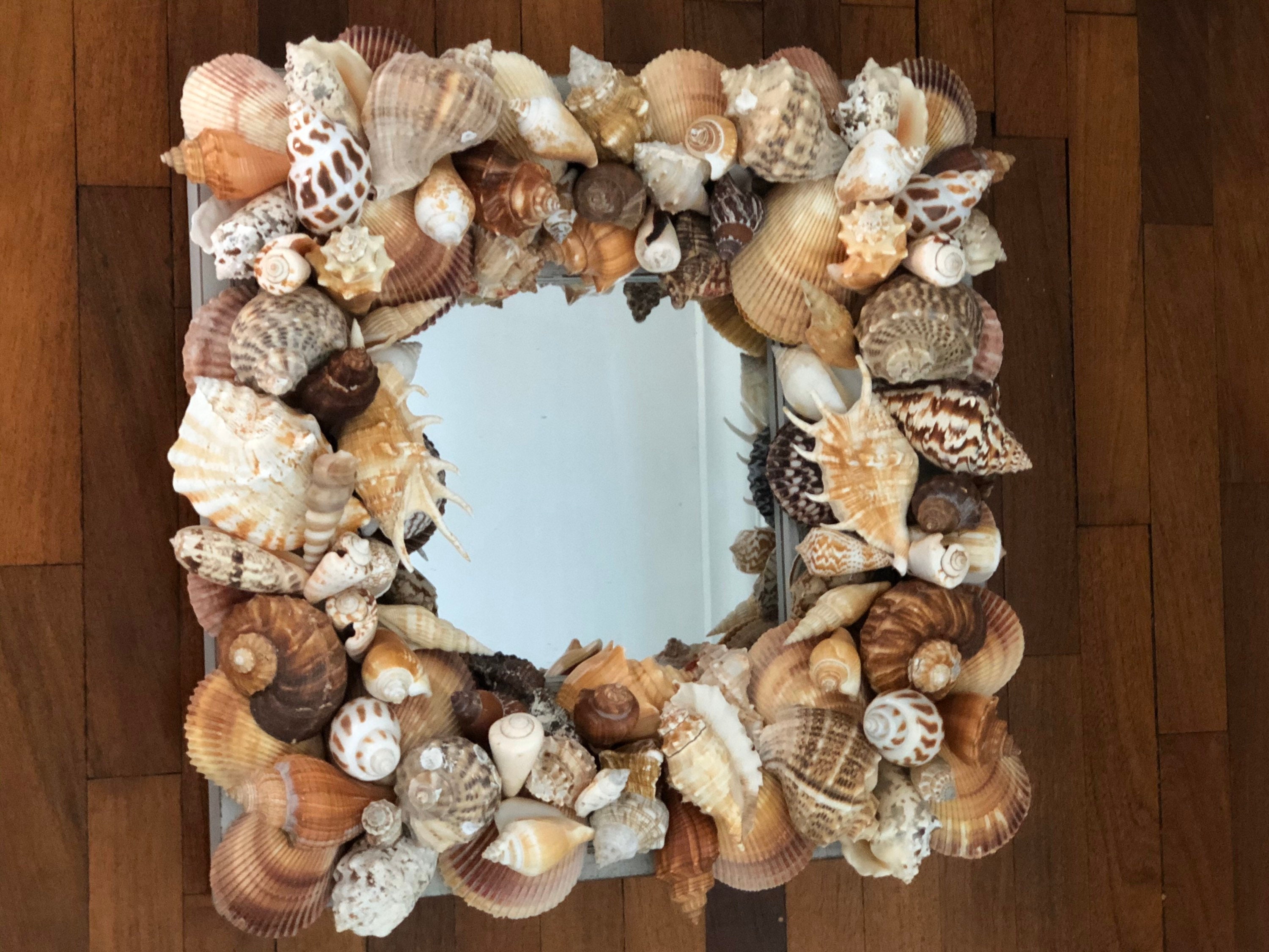 Beach House Hamptons Seashell Mirror Distressed Nautical Etsy