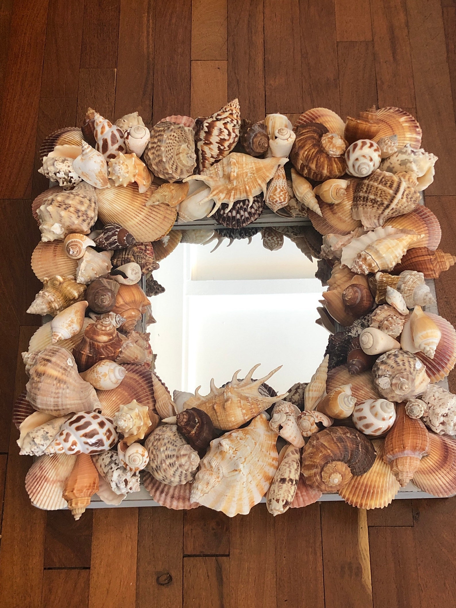 Beach House Hamptons Seashell Mirror Distressed Nautical Etsy