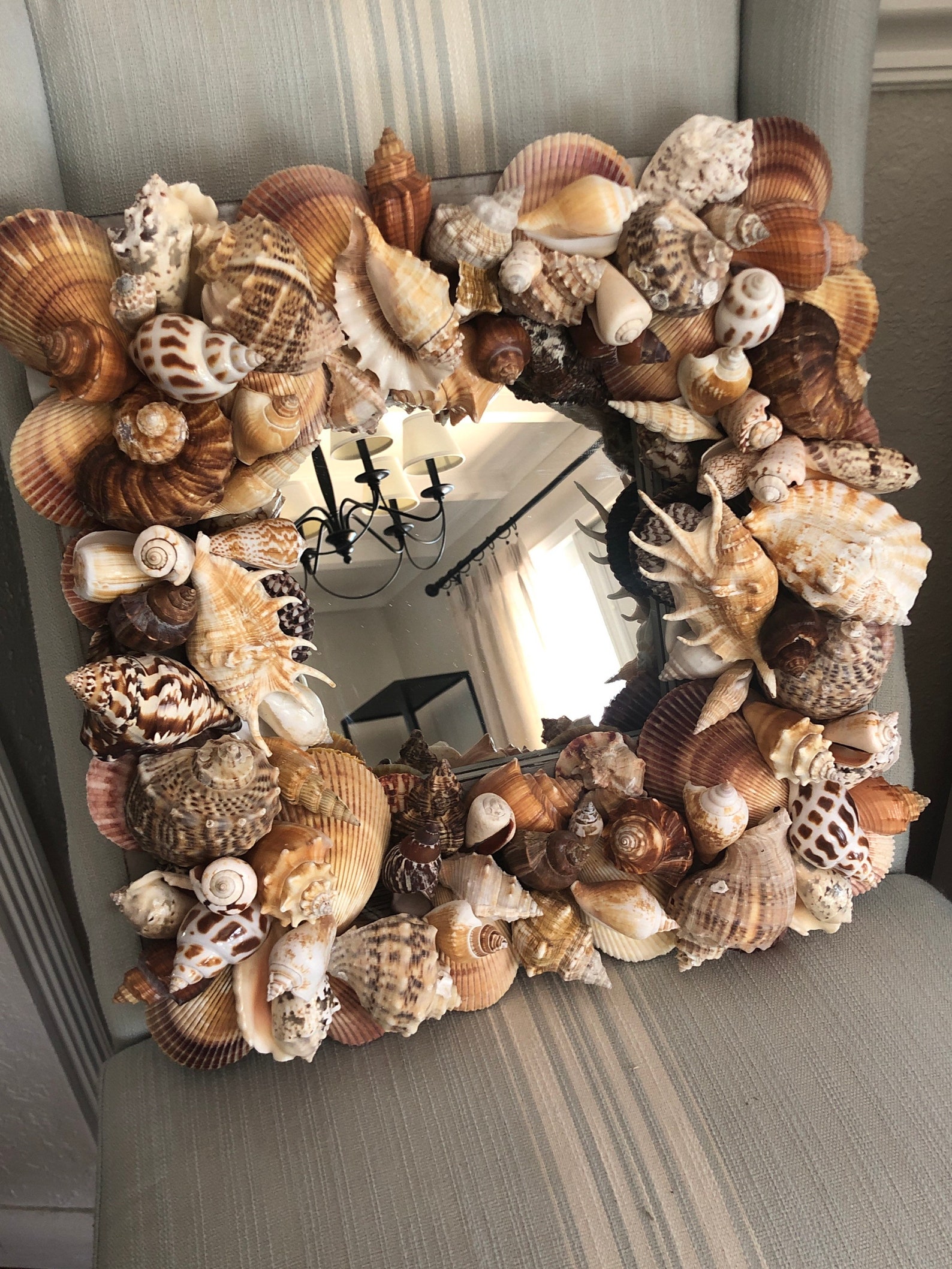 Beach House Hamptons Seashell Mirror Distressed Nautical Etsy