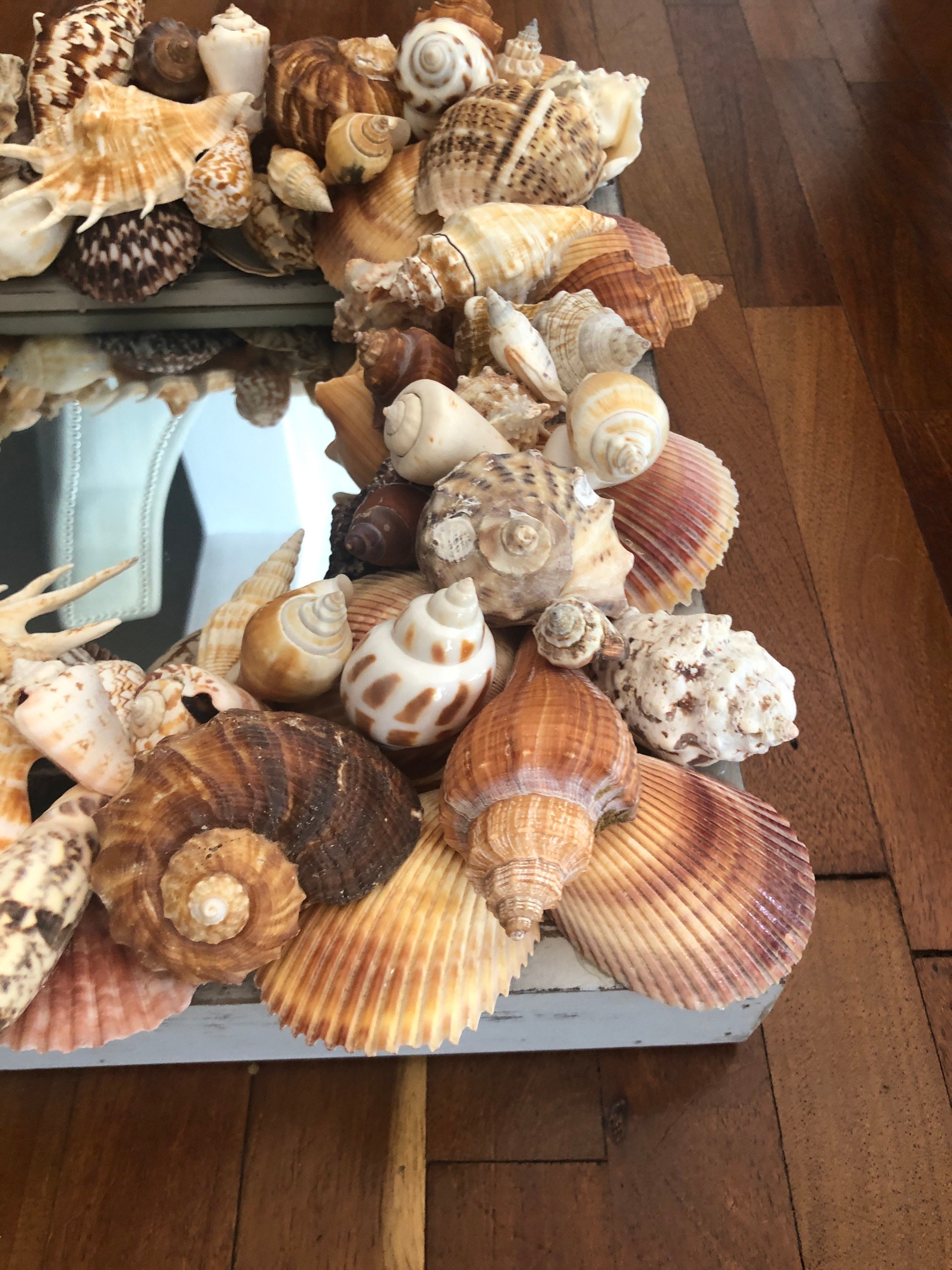 Beach House Hamptons Seashell Mirror Distressed Nautical Etsy