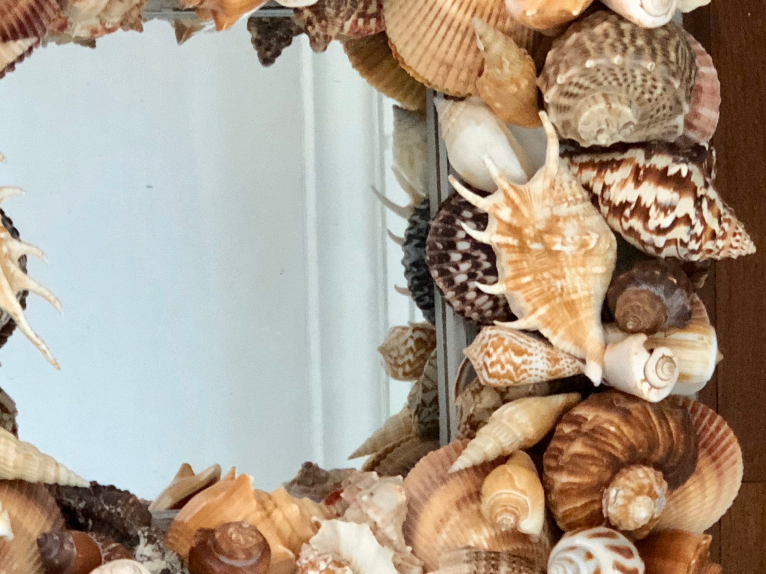 Beach House Hamptons Seashell Mirror Distressed Nautical Etsy