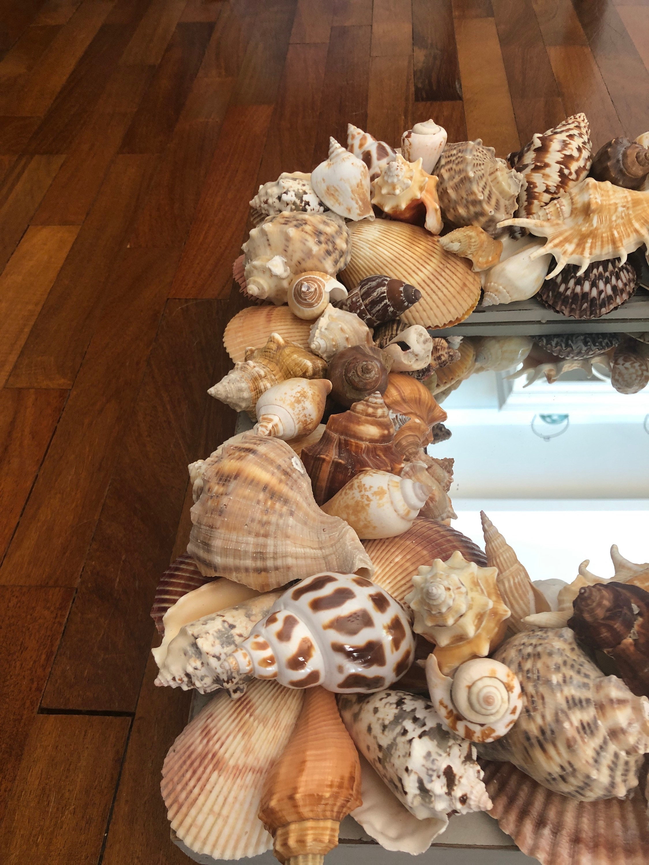 Beach House Hamptons Seashell Mirror Distressed Nautical Etsy