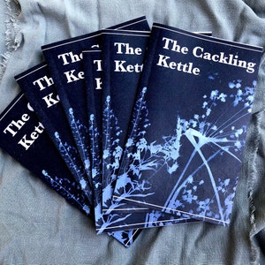 Poetry Zine, Literary Magazine