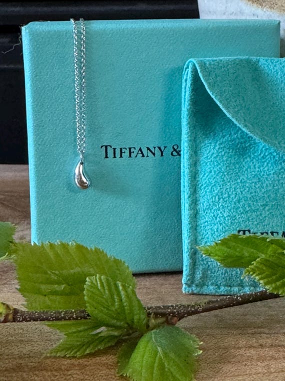Classic Elsa Peretti Tiffany & Co Platinum Teardrop Necklace With