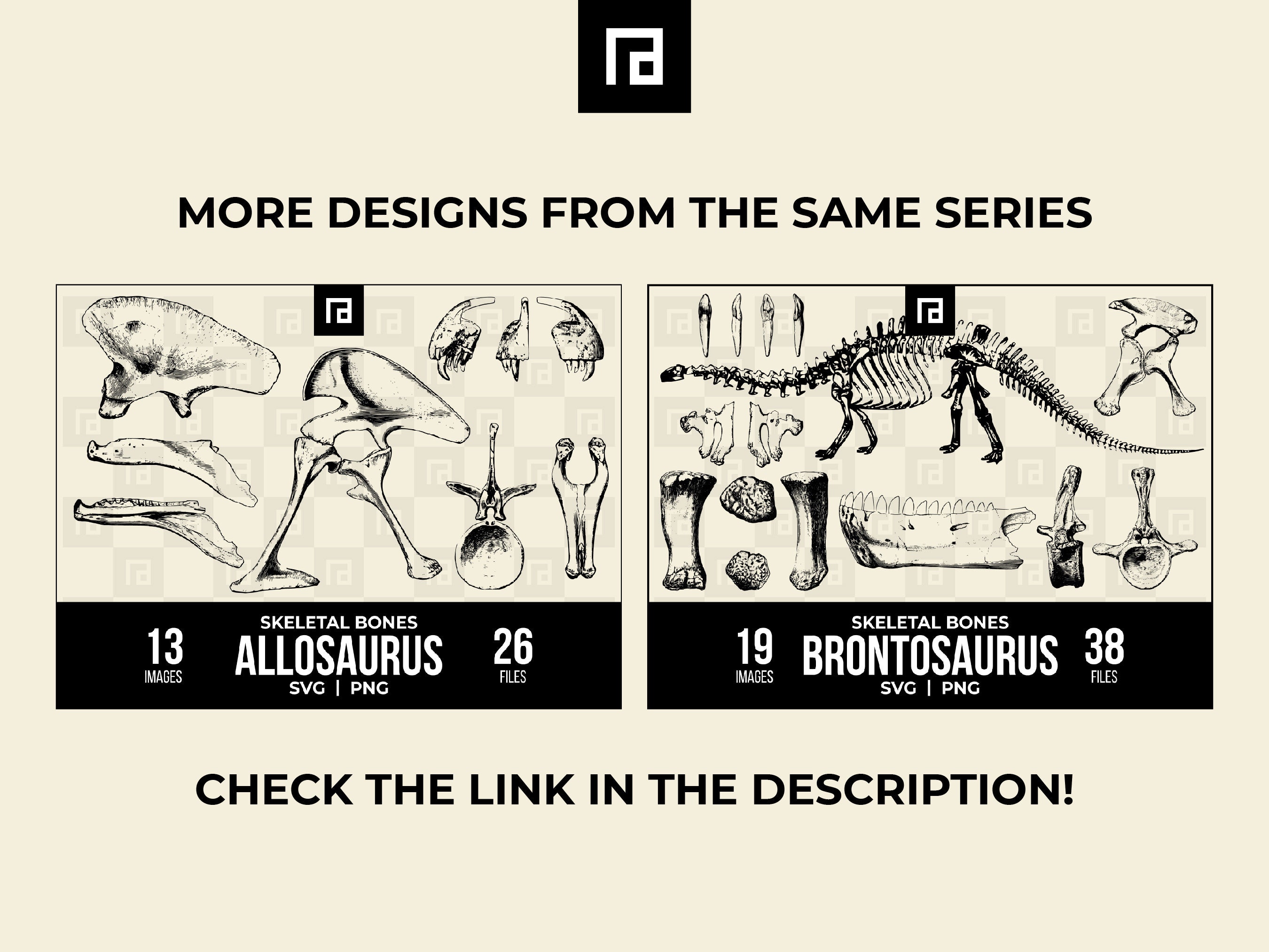 Ceratosaurus Skeletal Bones SVG PNG Bundle, Theropod Dinosaur Svg