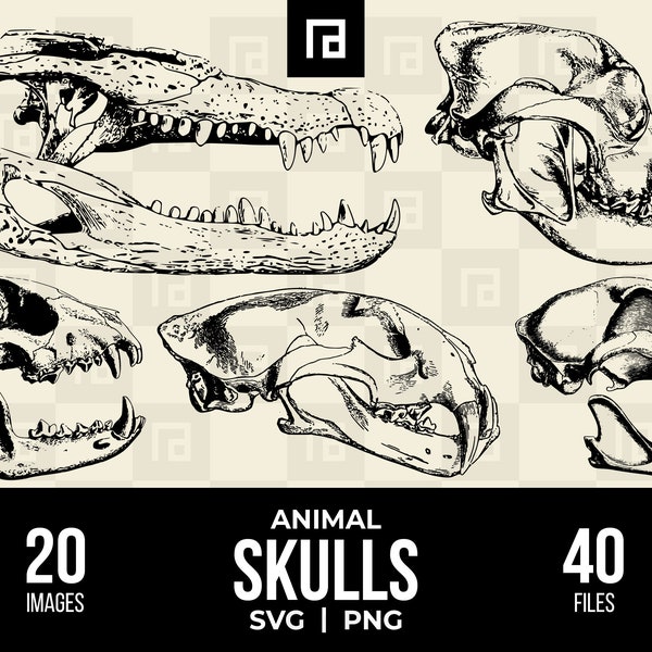 Animal Skulls SVG PNG Bundle, Domestic and Wild Animals Skull Collection, Hand-Drawn Vector Graphics, Animal Anatomy, Wildlife Printables
