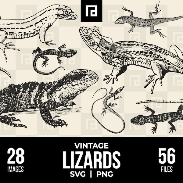 Vintage Lizards SVG PNG Bundle, Hand Drawn Reptile Vector Graphics, Herpetologist Office Wall Art, Wild Animal Transparent Background Images