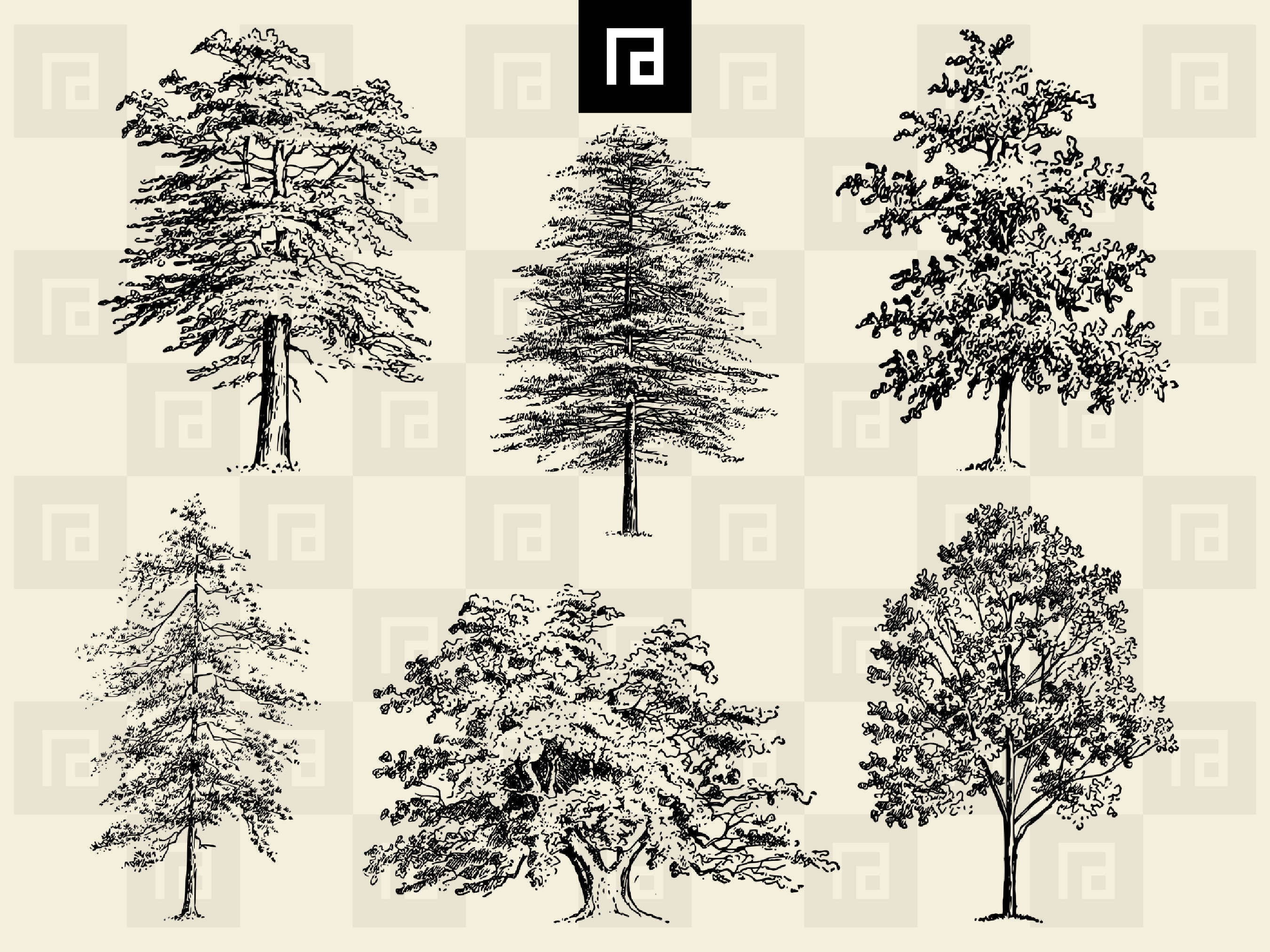 Hand Drawn Forest Trees SVG PNG Bundle, Versatile Tree Silhouettes ...
