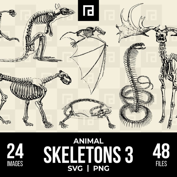 Animal Skeletons SVG PNG Bundle 3, Hand-Drawn Skeletal Images, Domestic Animals Skeleton Svg, Wild Animals Svg, Veterinary Office Decor