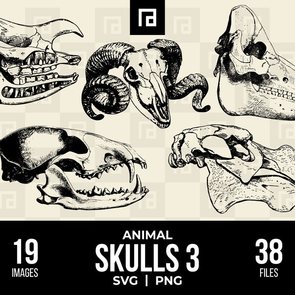 Animal Skulls SVG PNG Bundle 3, Domestic and Wild Animals Skull Collection, Hand-Drawn Animal Anatomy, Printable Graphics, Skull Bones Svg