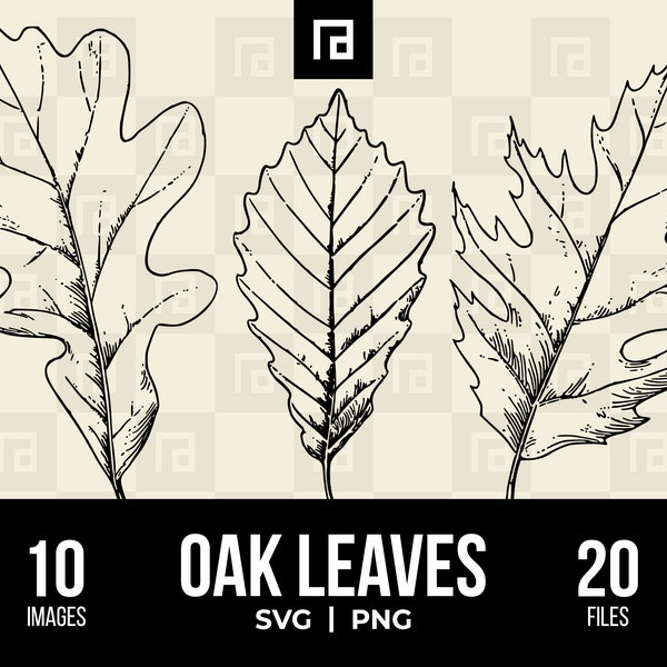 Oak Leaves SVG PNG Bundle, Various Hand-drawn Oak Foliage, Transparent Leaves, Scalable Graphics, Elegant Botanicals, DIY Decor, Leafy Charm