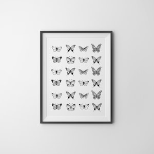 Black & White Colored Butterfly wall art, butterfly chart poster, black and white, boho butterfly wall art, butterfly, butterfly drawing