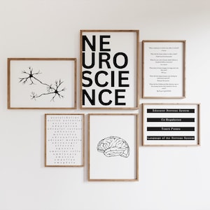 Neurovetenskapliga konsttryck | Hjärnans anatomi, neuronväggdekor (digital nedladdning)