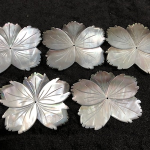 May include: Five iridescent mother-of-pearl flower-shaped embellishments with a carved design. Each flower has five petals and a small hole in the center.