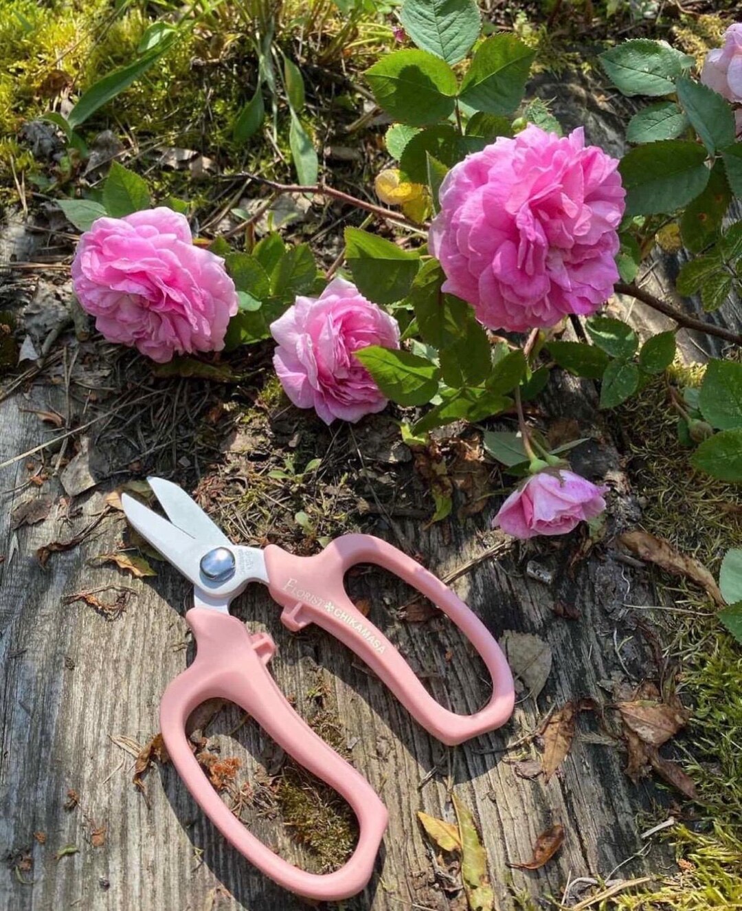 花 chisamama Chikamasa Flower Scissors: Japanese Florist Shears With Wire Cut