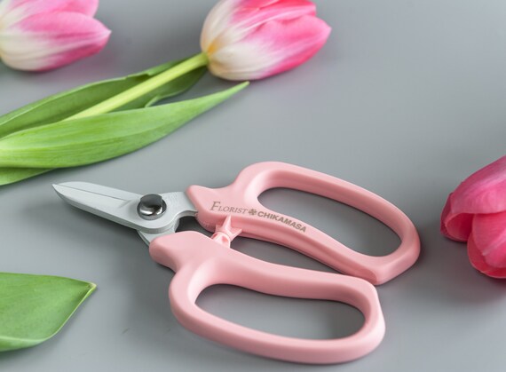 Japanese flower and household scissors