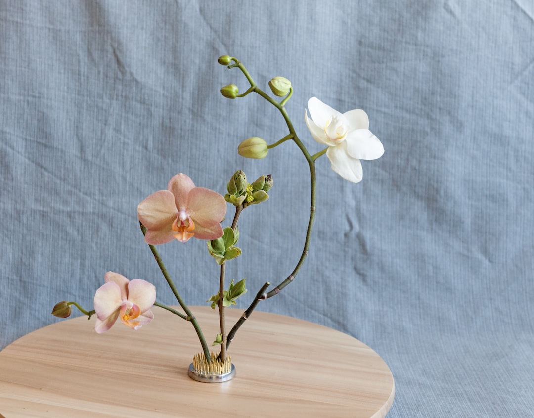 Floral Pin Frog 46 Mm/18 Inches Kenzan Flower Pin Holder Etsy