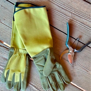 May include: A pair of green gardening gloves with a long cuff and a pair of pruning shears.