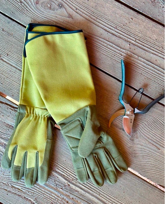 bilder von zum goldenen handschuh T-Shirt Goldener Handschuh – Zum Goldenen Handschuh