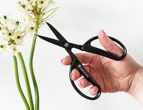 Japanese Chikamasa Scissors for Flower Arrangement Gardening