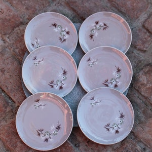 Puede incluir: Juego de seis platos de cena de cerámica blanca con un delicado diseño floral en tonos grises y verdes. Los platos tienen un borde ligeramente elevado y un acabado liso y brillante.