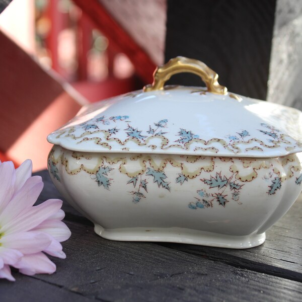 Limoges Haviland China Patterns Antique Etsy