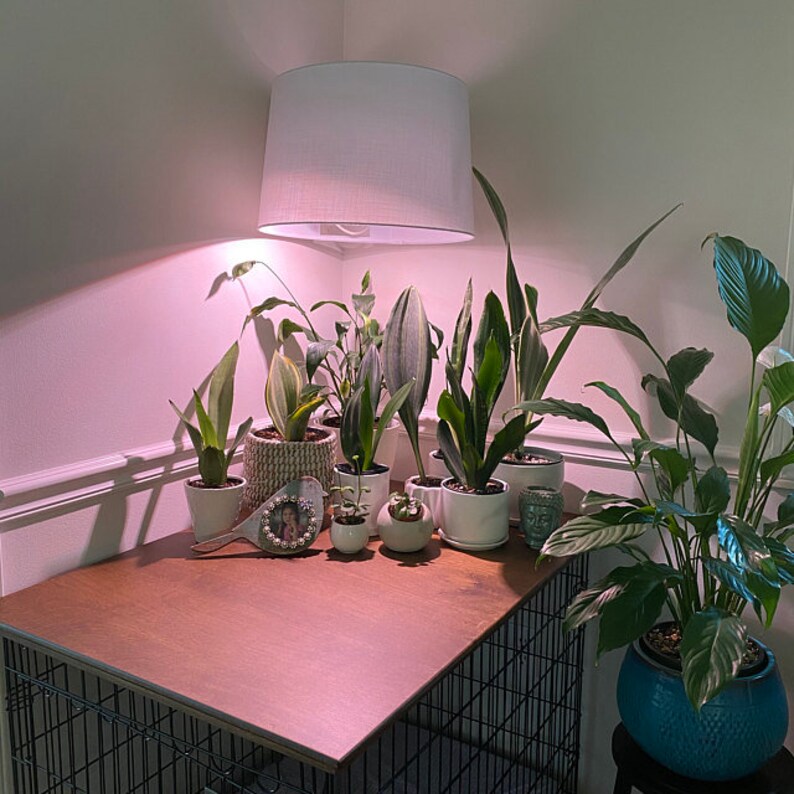 Dog Crate Topper Dog Kennel Topper Dog Cage Topper Pet Etsy