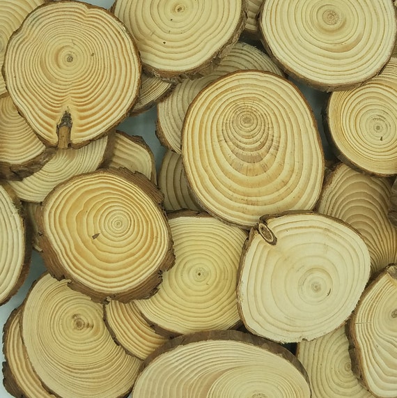 Bulk Wood Slices, B Grade Wood Slices, Imperfect Natural Pine Wood