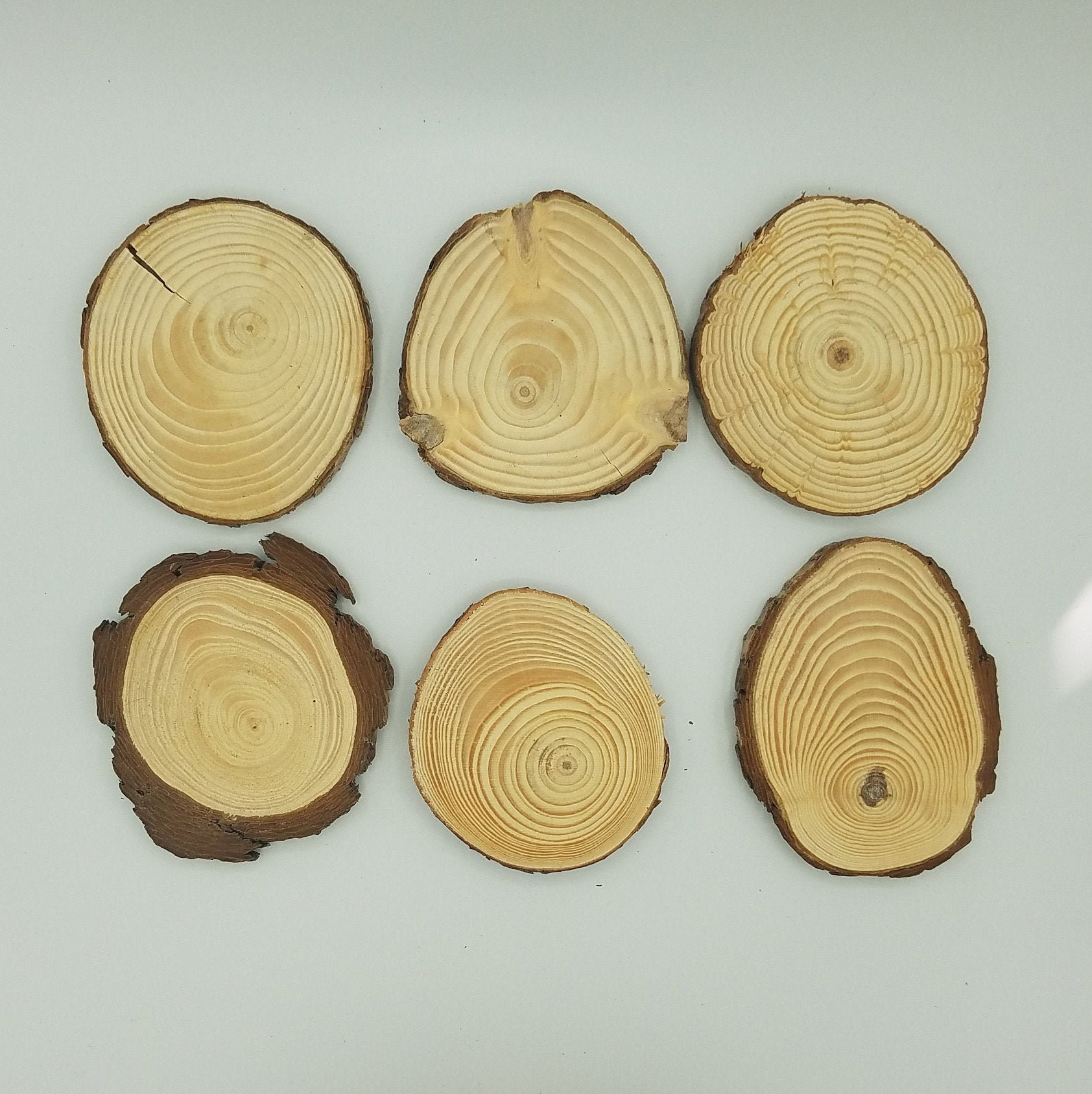 Wood Slices, Real Pine Wood Rounds, Wood Coasters, DIY Wood Blanks.