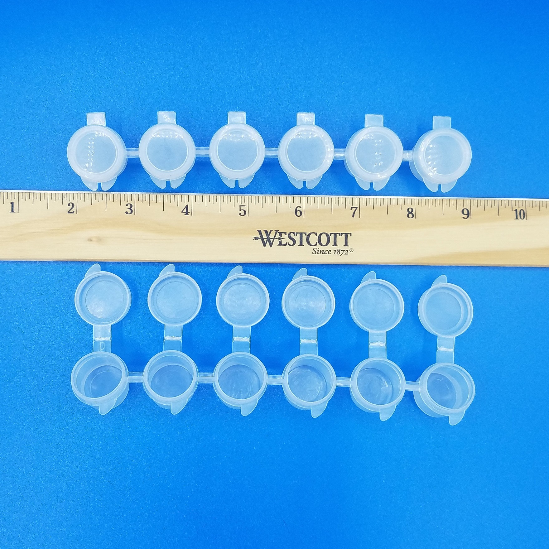 Paint Pot Strips 5ML 6 Pot Strips Empty Paint Pots Bulk Etsy