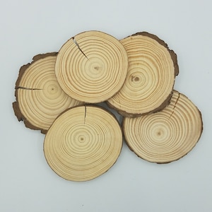 Cracked Wood Slices 5 QTY, 3.5-4.5 Inch Cracked Wood Slices, Natural Pine Wood Slices, DIY Ornament Making Supplies