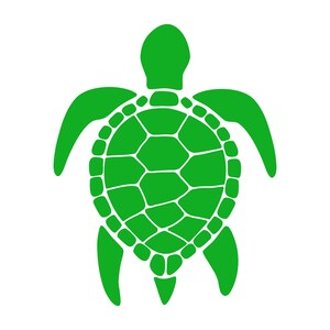 Turtle SVG