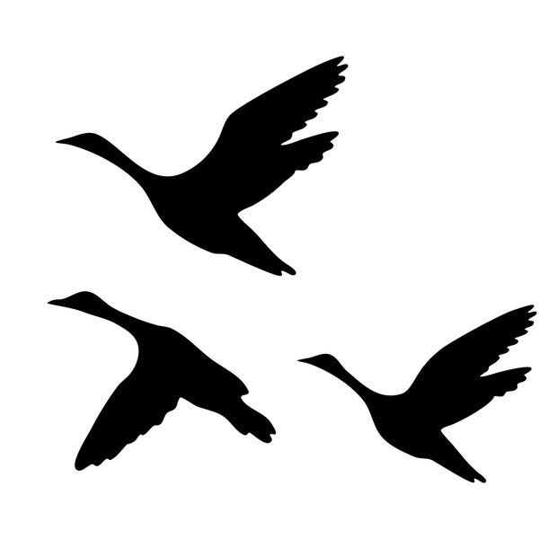 Gänse SVG