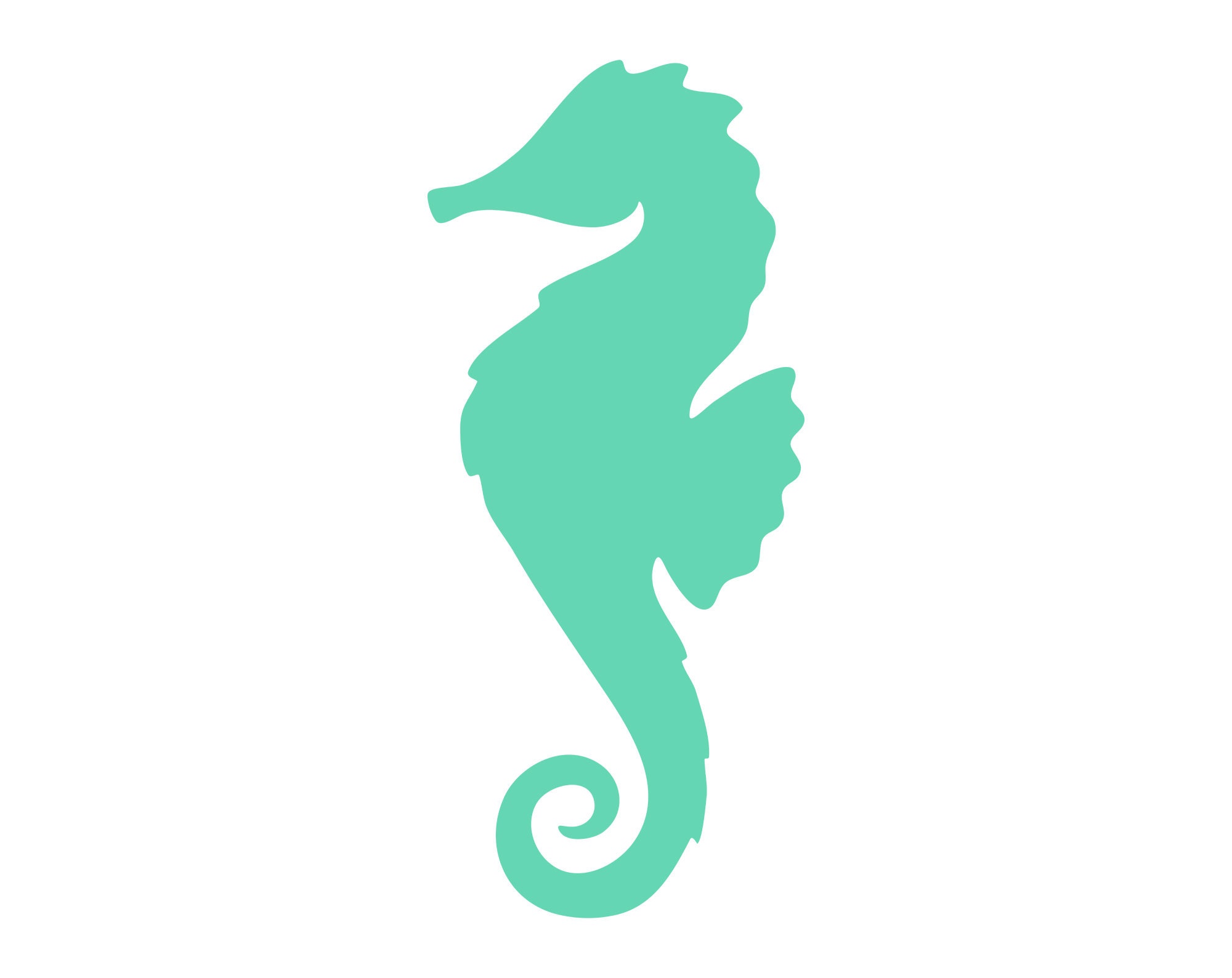 Seahorse SVG | Etsy