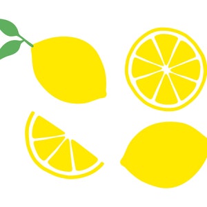 Lemon Bundle SVG