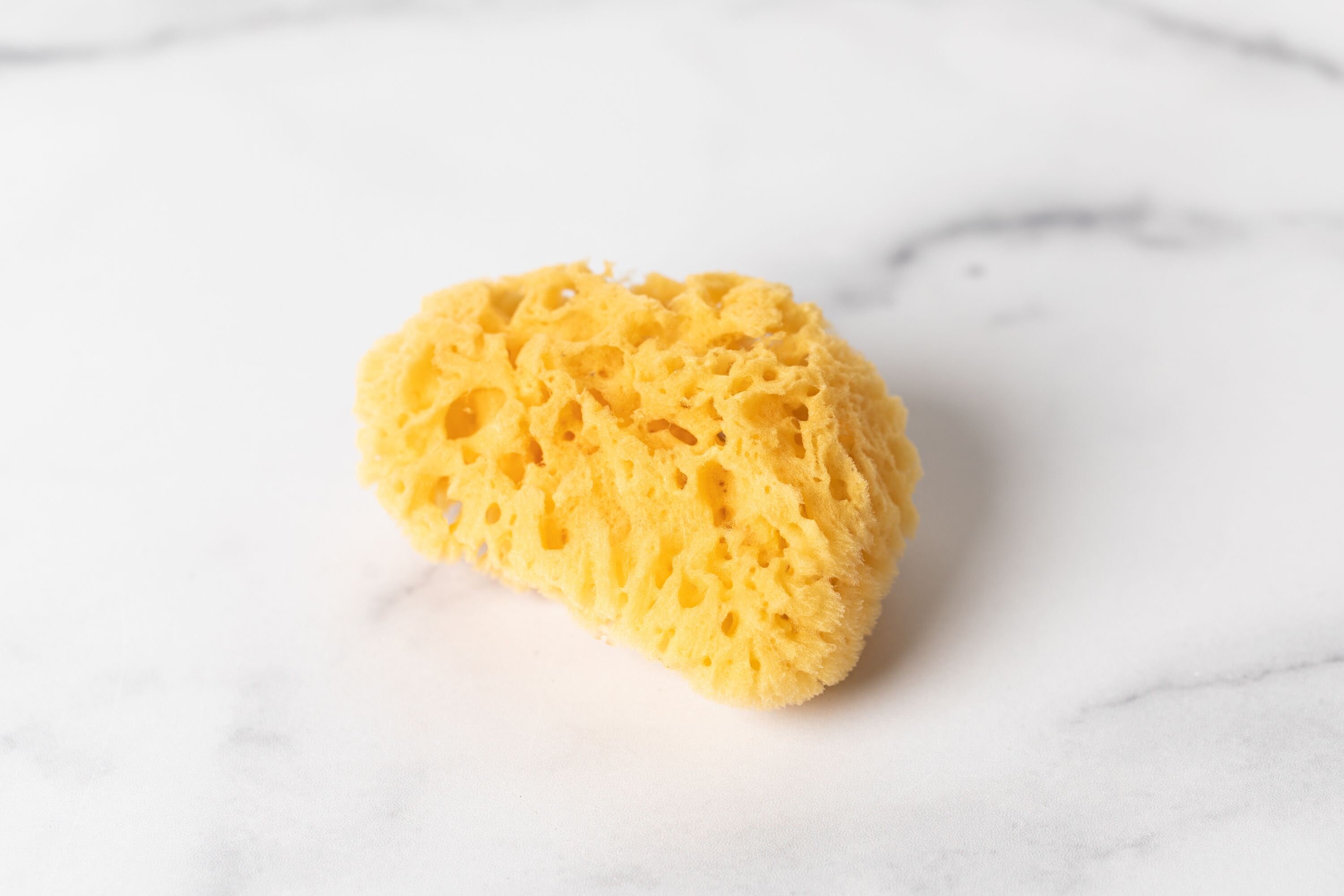 Natural Dead Sea Sponge Natural Sponge Dead Sea Sponge Etsy