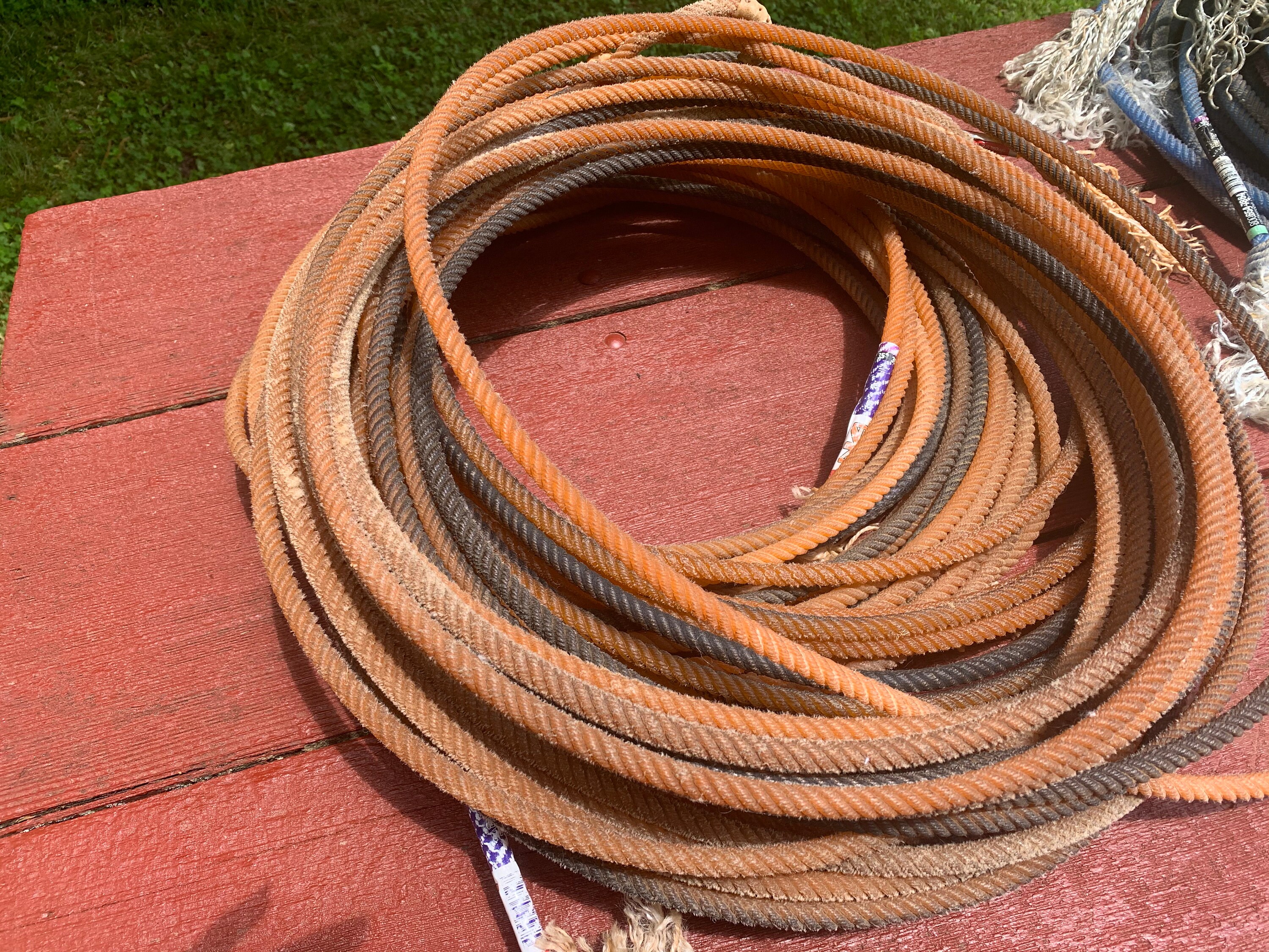 Lariat rope for sale discount