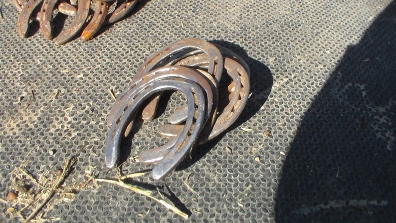 Authentic Used Horse Shoes-Flat Shoes-Assorted sizes-Rusted Shoes-Shiny Shoes-Cowboy Art-Farrier Horseshoes-Western Decor image 2