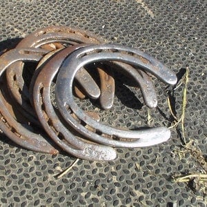 Used Horseshoes Etsy Singapore